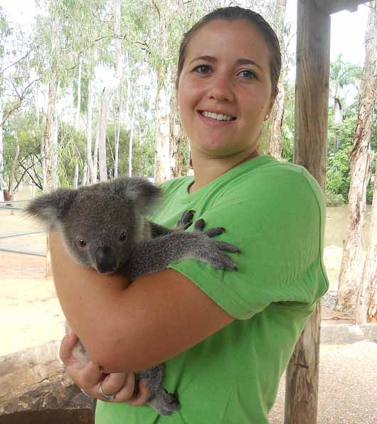 Koala lebt in Australien.