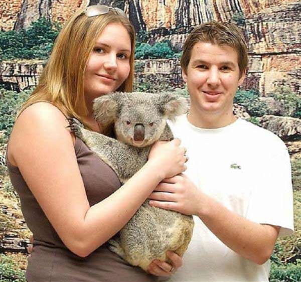 Koala Joeys get fully developed at the age of 9 months.