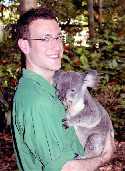 Queensland's Koalas' food consumption.