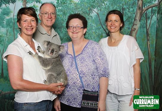 Koalas are more popular in Australia