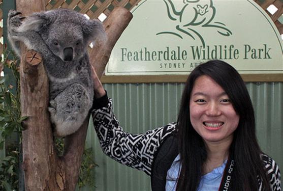 Koalas are popular among tourists.