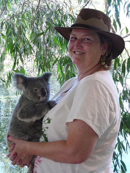 Queensland Koalas' Breeding has badly effected.